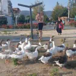 Şartlı tahliye edilmişlerdi: Özgürlüğün tadını sahilde çıkardılar