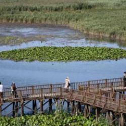 Onlarca t&uuml;r kuş ve muhteşem manzara: &Uuml;stelik b&uuml;y&uuml;k şehirlere &ccedil;ok yakın
