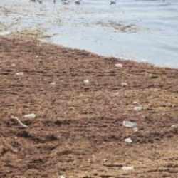 Sahil bir anda kırmızıya büründü! Bir ilde 'poyraz' etkisi!