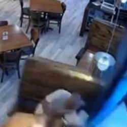 ABD'de akıllara zarar kaza! Yemek yerken içeri giren arabanın altında kaldılar