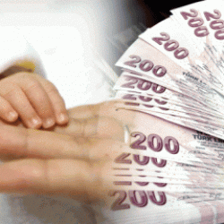 Bakanlık duyurdu! Yüz binlerce aileye müjde: Hesaplara yatırıldı