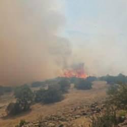 Balıkesir'de orman yangını