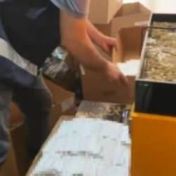 Ev değil tütün fabrikası!