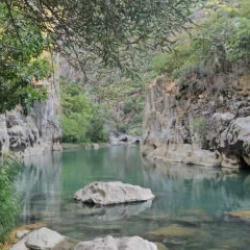 Güneydoğu Anadolu’da olduğunu duyan şaşırıyor! Sıcaklarda serinlik kaynağı