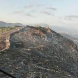 Habib-i Neccar Dağı​​​​​​​ eteklerinde başlamıştı! 16 saat sonra kontrol altına alındı