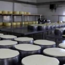 Kırklareli'nde üretilen süt ürünleri 17 ülkede sofralara lezzet katıyor