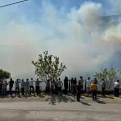 Küre Dağları Milli Parkı'ndaki yangın kontrol altına alındı