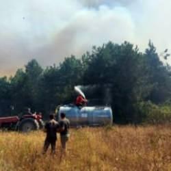 Sakarya'da orman yangını! Çok sayıda ekip sevk edildi