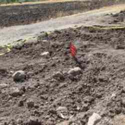 Şifa arayan yaşlı çift canından olmuştu! Çankırı'daki kükürtlü suyla ilgili korkunç iddia