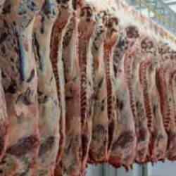 Beklenmedik gelişme: Türk et toptancısı zora girdi! Konkordato ilan etti