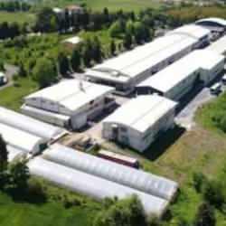 32 senelik köklü markadan kötü haber: Konkordato ilan etti! Ödül almıştı