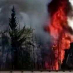 Ağaçlar alev topuna döndü, trafik durduruldu