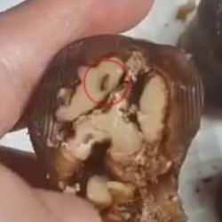 Cevizli sucuğu yemek için ikiye böldü, içinden çıkanı görünce şoke oldu