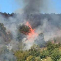 D&uuml;zce orman yangını nerede &ccedil;ıktı, s&ouml;nd&uuml;r&uuml;ld&uuml; m&uuml;?