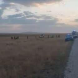 Erzurum'da feci kaza: 3 kişi hayatını kaybetti