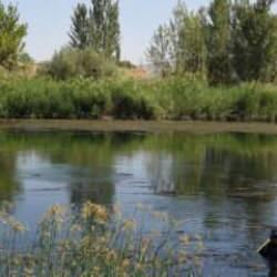 Kırıkkale'de acı olay! İki arkadaş Kızılırmak'ta boğuldu