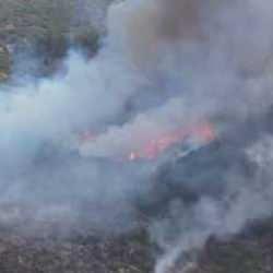 Orman yangını sonrası yabancı uyruklu 5 kişi gözaltına alındı