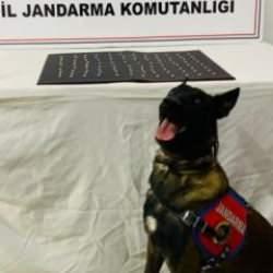 Şanlıurfa'da uyuşturucu operasyonu: 42 gözaltı