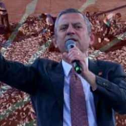 Sinop'taki balıklar için kıyameti koparan Özel, İzmir'deki balık ölümlerine sessiz kaldı