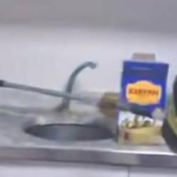 Şırnak'ta iş yerinde yılan paniği