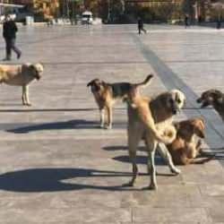Son dakika: Afyonkarahisar Valiliği'nden dikkat çeken karar! Artık yasak...