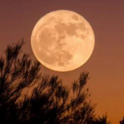 Tam Ay tutulması Rami Kütüphanesi'nden izlenecek