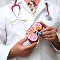 Tıp tarihinde bir ilk: Böbrekleri kurtaracak MikroRNA buldu