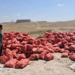 Tonlarca soğan bu şekilde bulundu! 'Yazık, yetime öksüze verselerdi'