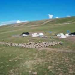 Yaylada korkunç olay: Hayvan otlatan baba ve oğlu feci şekilde can verdi