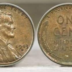 Fiyatı 4 milyonu geçti! Herkes onu arıyor, elinde olanlar parayı kıracak