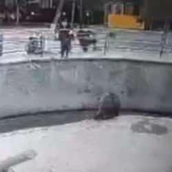 Anne, önce ayı kafesine attı, sonra bıçakladı! Özbekistan’da kan donduran olay!