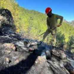 Adana'daki orman yangını kontrol altında!