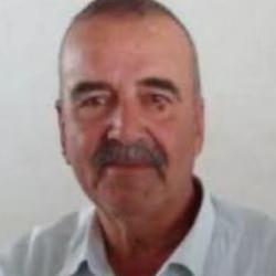 Arı sokması sonrası şoka giren çiftçi, hayatını kaybetti!