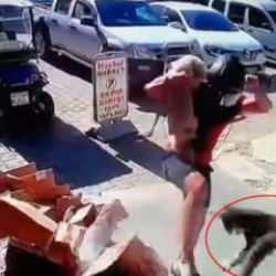Antalya'da kediyi tekmeleyen kişi tutuklandı