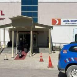 Ağaçtan ceviz topluyordu: Kahreden ölüm!