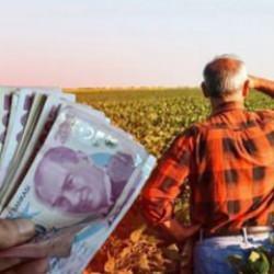 Çiftçilere zirai don desteği! Rakamlar ve şartlar belli oldu: Resmi Gazete'de yayımlandı
