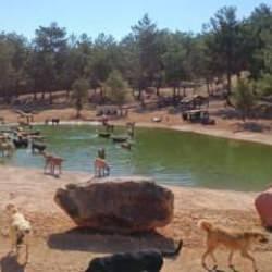 Gaziantep B&uuml;y&uuml;kşehir'den iddialara jet yalanlama! Ger&ccedil;ek bakın ne &ccedil;ıktı...