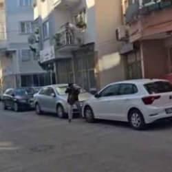 İzmir'de 2 polisin şehit olduğu silahlı saldırıya ilişkin yeni gelişme