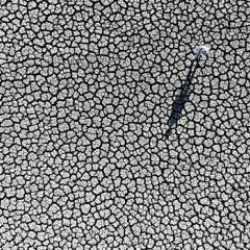 Konya Ovası'nda b&uuml;y&uuml;k tehlike! Su kaynakları dip seviyeleri g&ouml;rd&uuml;