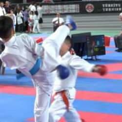 Taekwondo'da festival sona erdi