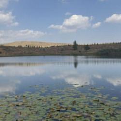 Torosların zirvesindeki güzellikler: Serin sular, nilüferler ve dahası…