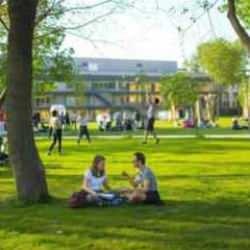 Yükseköğretim Kurulu'ndan son dakika Bilgi Üniversitesi kararı