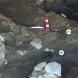 Zonguldak&rsquo;ta bulunması şaşırtmadı: 5 bin yıl &ouml;nce şifa bulmak i&ccedil;in yemişler