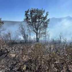 3 ilde orman yangını: Ekiplerin m&uuml;dahalesi s&uuml;r&uuml;yor!