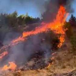 Balıkesir'de orman yangını 2 saatte kontrol altında