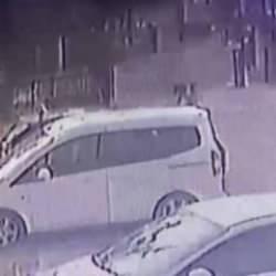 Adana'da dehşet! Başıboş köpekler 3 yaşındaki çocuğu kovaladı
