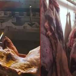 Bakanlıktan Kayseri'de gıda denetimi: 1,5 ton et imha edildi!