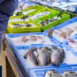 Balığın taze olup olmadığını nasıl anlarsınız? İşte pratik yöntemler