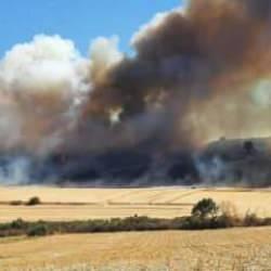 &Ccedil;anakkale'de orman yangını
