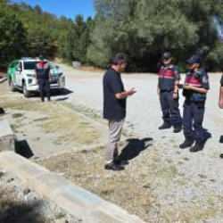 Jandarma koruyor: Bu bitkiyi toplamanın cezası 557 bin TL